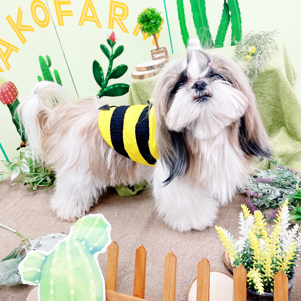 kƃf̎ʐ^Be@
